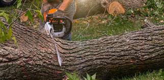 Best Artificial Turf Installation  in Deltona, FL